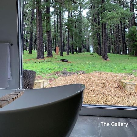 Bella Cosa Villa Mclaren Vale Ngoại thất bức ảnh