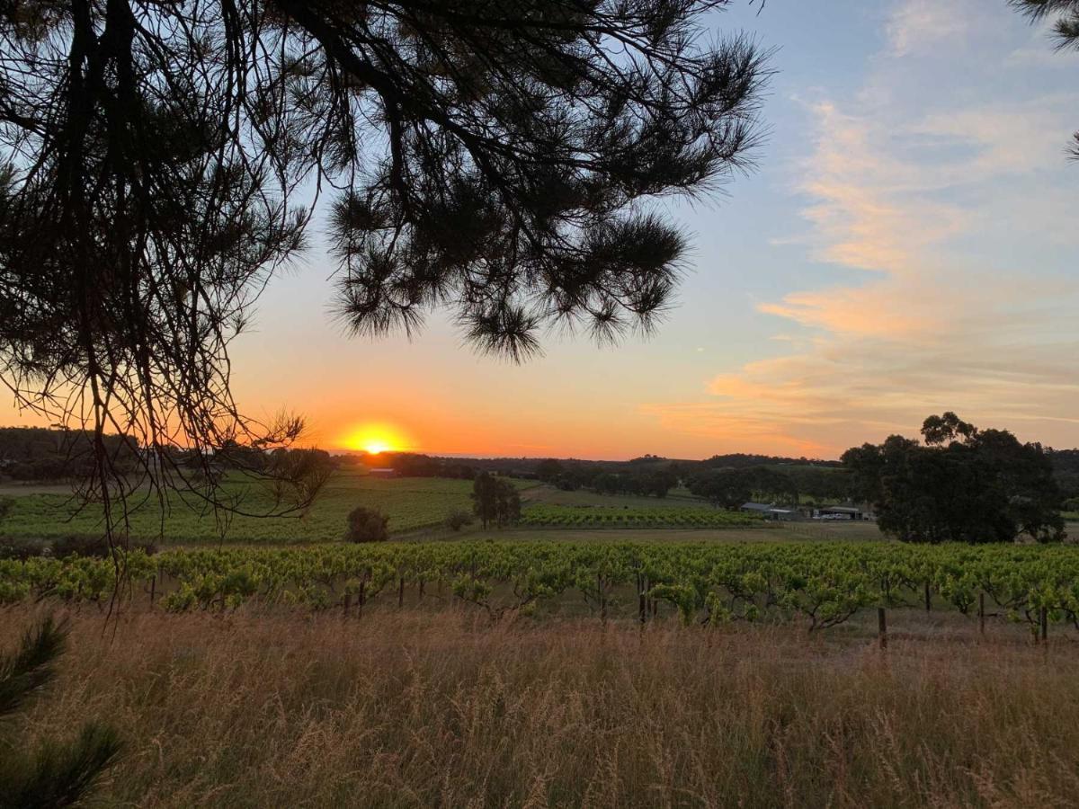 Bella Cosa Villa Mclaren Vale Ngoại thất bức ảnh